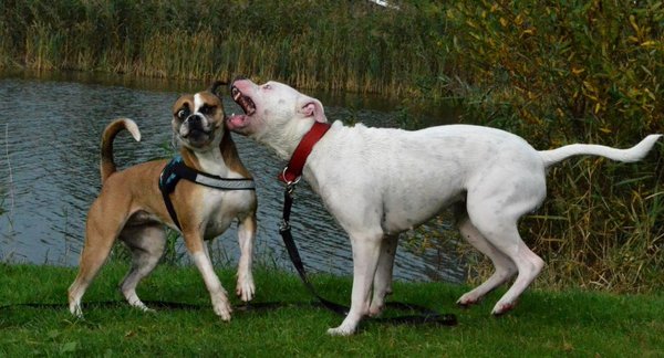 Maak van je hart geen moordkuil