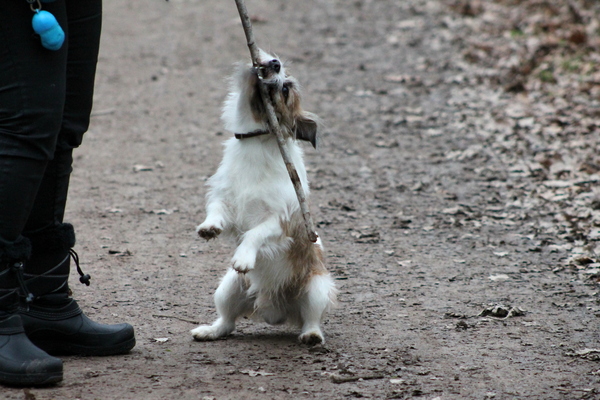 Alles op alles zetten