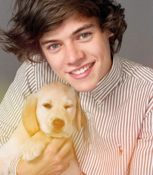 harry love pup ja super