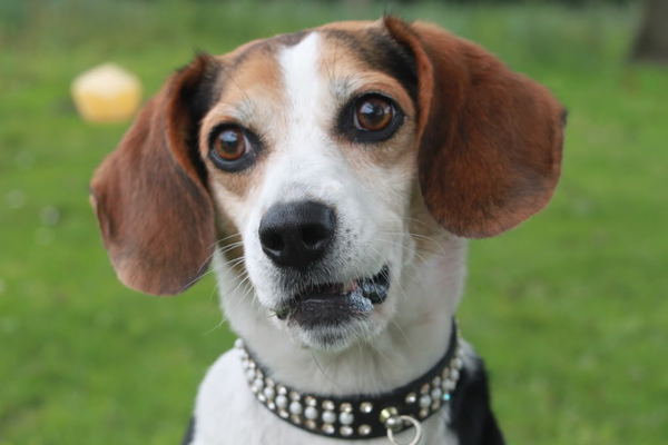 het water loopt haar in de mond 