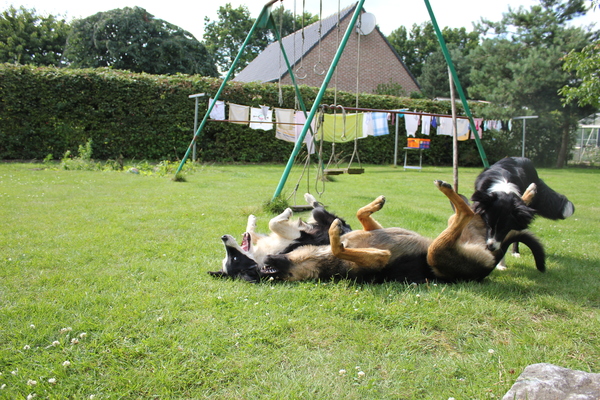 Plat liggen van het lachen