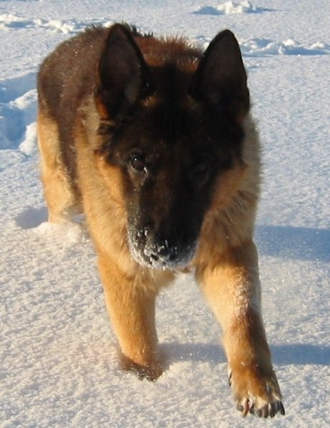 een wit voetje halen....