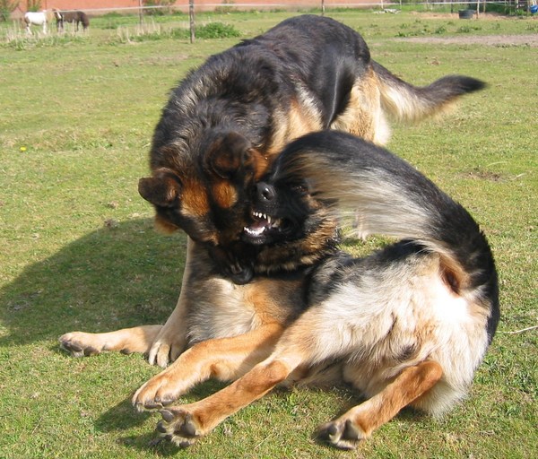 iemand onderuit halen..