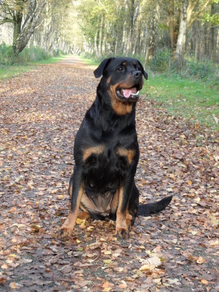 WACHTEN TOT JE EEN ONS WEEGT