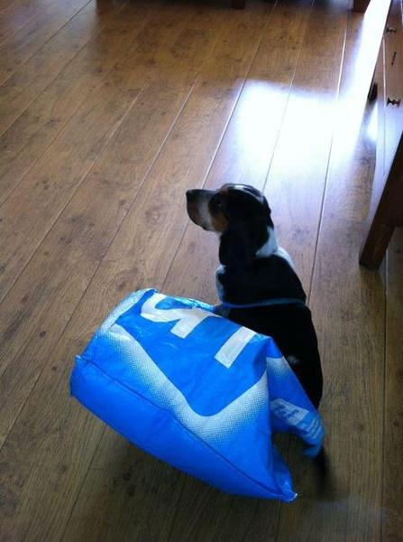 we moeten wel op de kleintjes letten