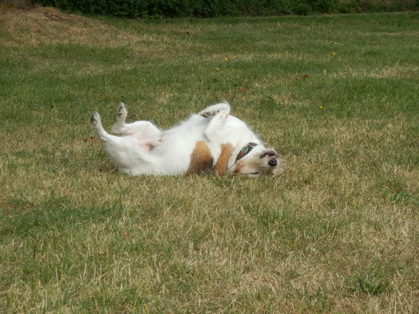 De rollen zijn omgekeerd