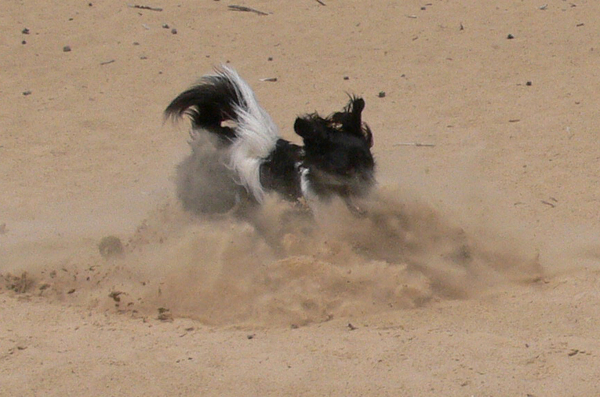 zand in de ogen strooien