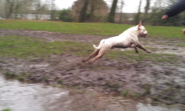 Een gat in de lucht springen?