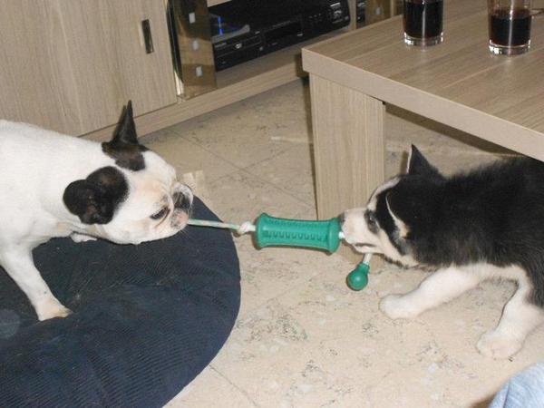 Samen spele is samen delen