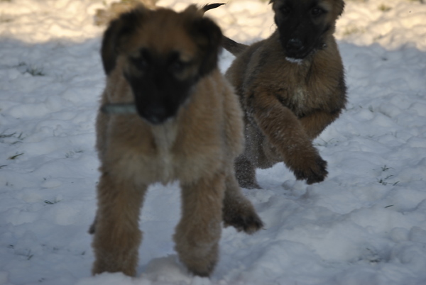 El Jamrah of paradise