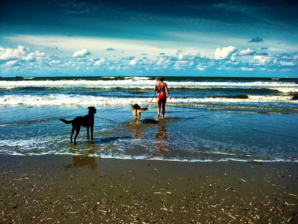 In nood leert men zijn vrienden kennen.