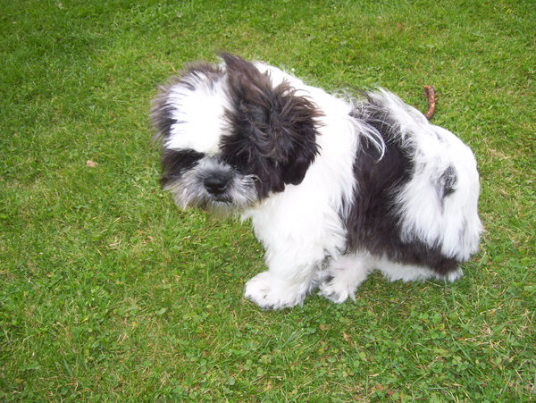 hij heeft de wind in de zeilen