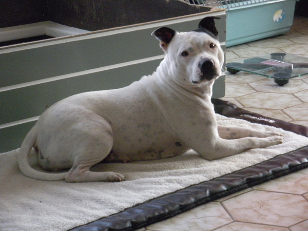 Fam. Demuynck-Bonroy