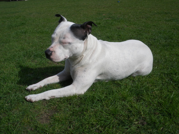 Fam. Demuynck-Bonroy