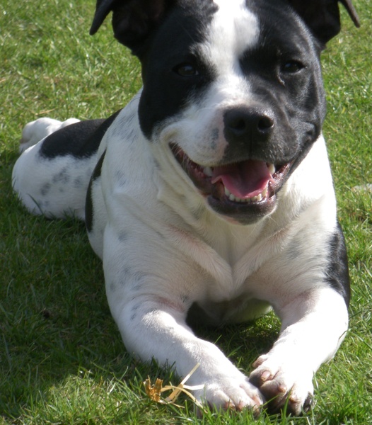 Fam. Demuynck-Bonroy