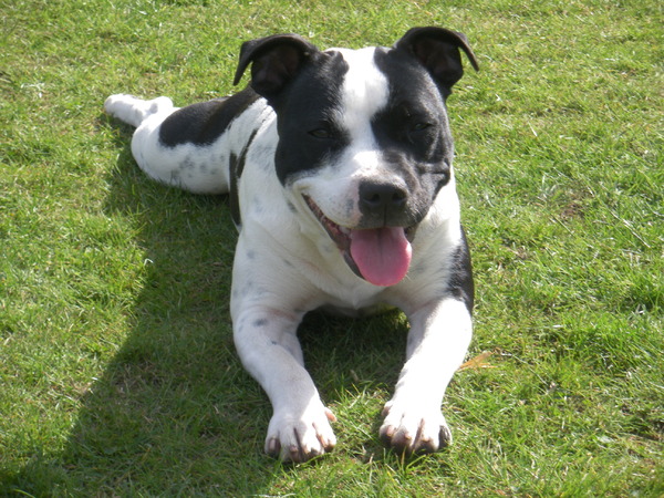 Fam. Demuynck-Bonroy