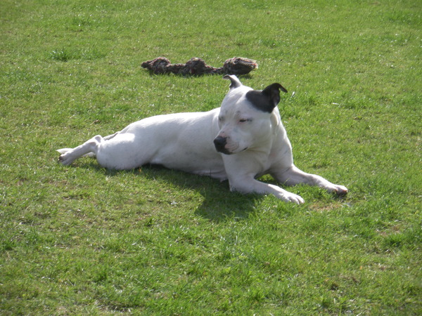 Fam. Demuynck-Bonroy