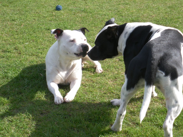 Fam. Demuynck-Bonroy