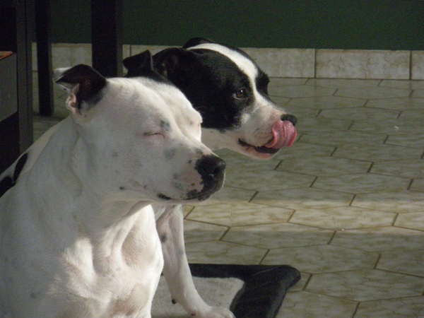 Fam. Demuynck-Bonroy