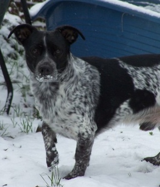 Het stof van de voeten schudden