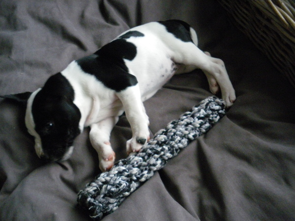 Fam. Demuynck-Bonroy