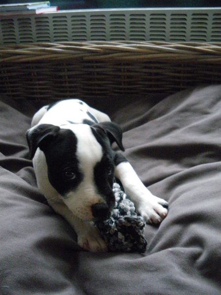 Fam. Demuynck-Bonroy