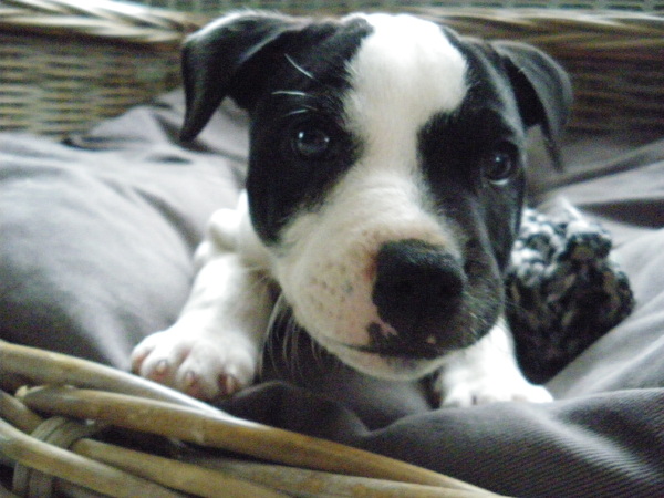 Fam. Demuynck-Bonroy