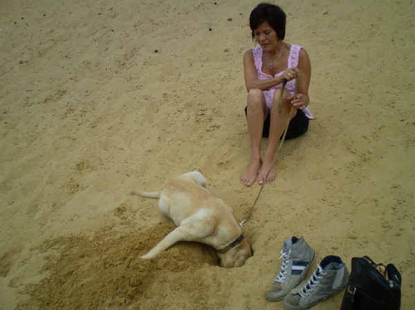 ''wie een kuil graaft voor een ander''