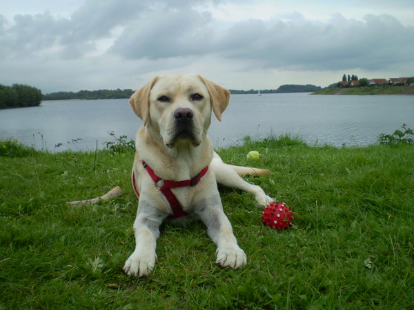Een goed gelaat is de beste geleidebrief
