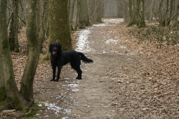Doedeltjes
