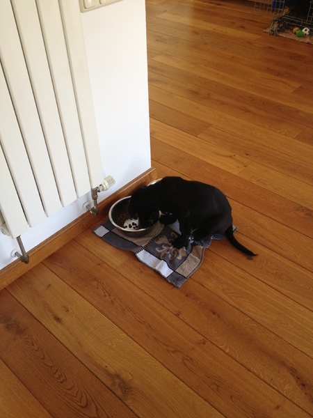 zittend eten is veel makkelijker!!