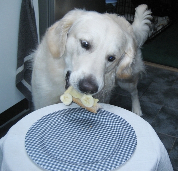 Ik ben gek op een boterham met banaan en kaas!