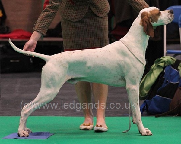 Marjolein Verharen Pointers