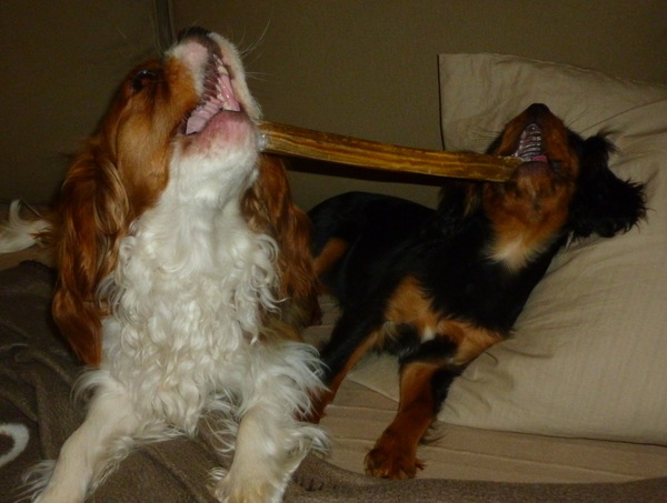 Samen delen