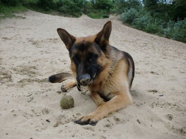 Wat nou lekker is aan een bal met zand