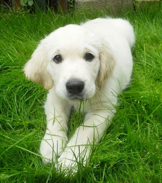 Ja, gras is toch wel heel erg lekker!