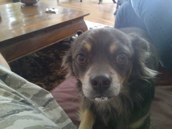 Ik heb geen ijs gehad!