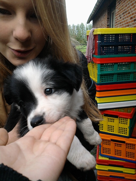 Zijn vingers eetbaar??