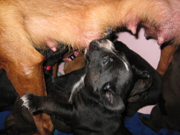 ik heb honger kom terug