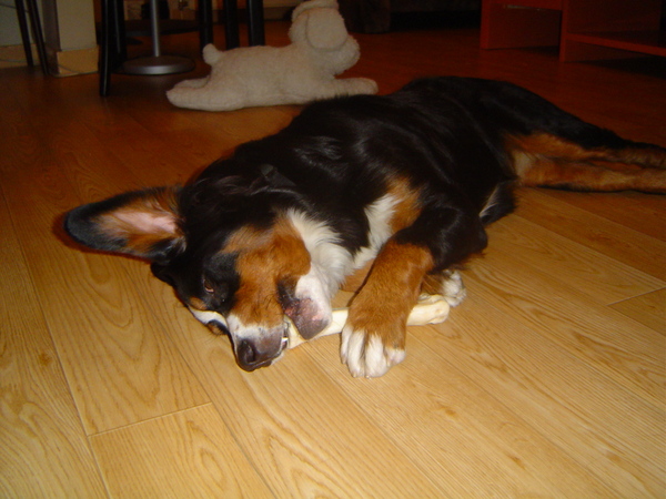 Ik zie en hoor alles