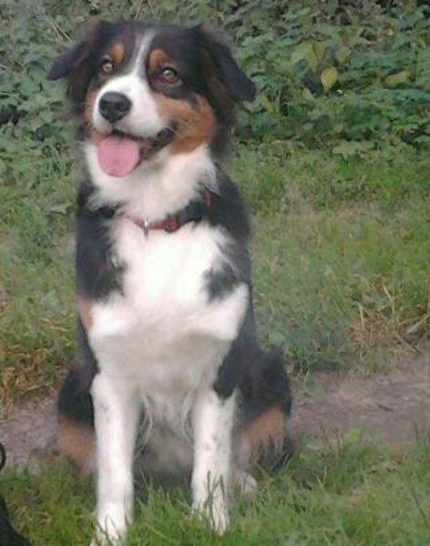 Bente