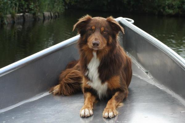 Lette de Bruine - From Let's Border