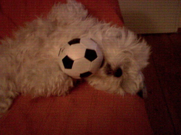 chillen na de wedstrijd