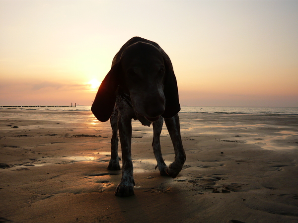 is ze niet stoer????