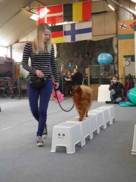 Samen workshop balans en coordinatie volgen