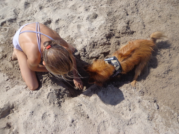 Samen een gat graven