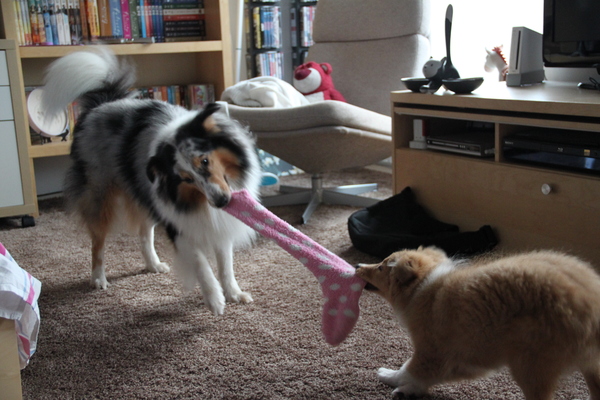 Samen de sok uitrekken...