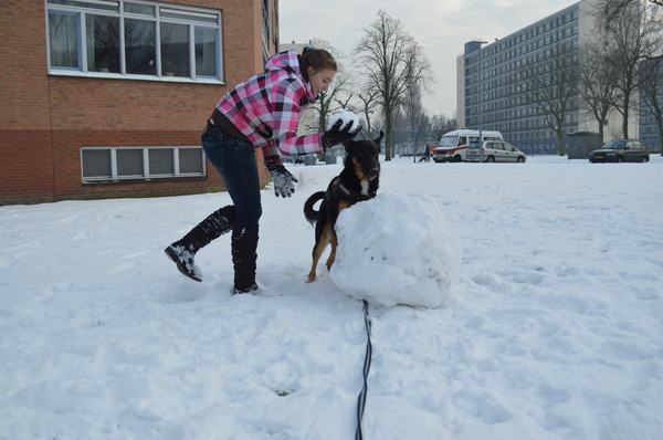 samen een sneeuwpop maken