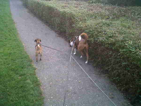 Samen wandelen