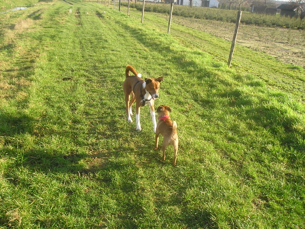 Deze twee zijn onafscheidelijk